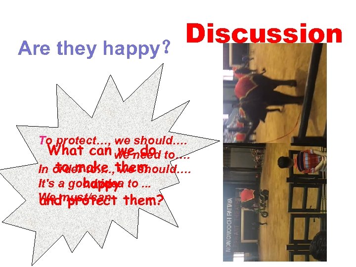 Discussion Are they happy？ To protect…, we should…. What can we need to…. we