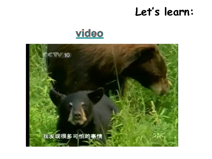 Let’s learn: video 