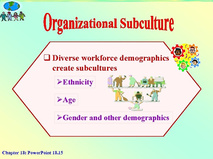 q Diverse workforce demographics create subcultures ØEthnicity ØAge ØGender and other demographics Chapter 18: