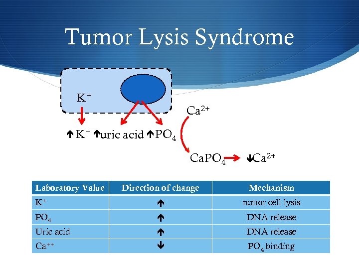 Tumor Lysis Syndrome K+ uric Ca 2+ acid PO 4 v Ca. PO 4