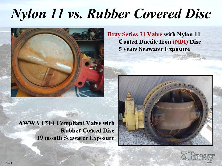 Nylon 11 vs. Rubber Covered Disc Bray Series 31 Valve with Nylon 11 Coated