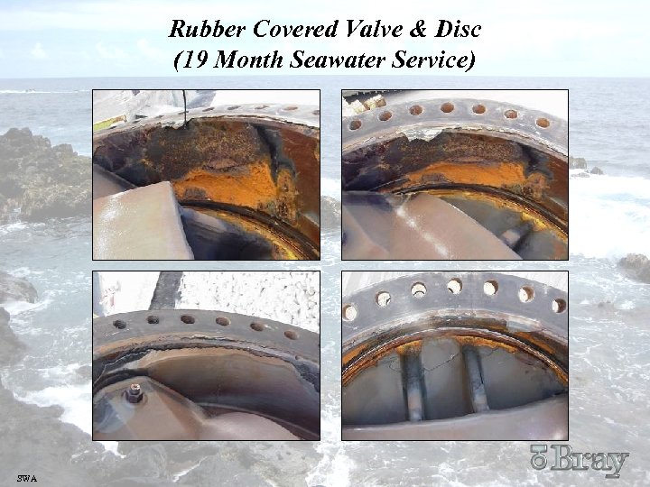 Rubber Covered Valve & Disc (19 Month Seawater Service) SWA 