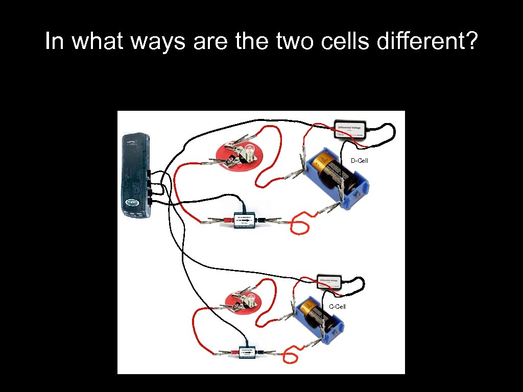 In what ways are the two cells different? D-Cell C-Cell 