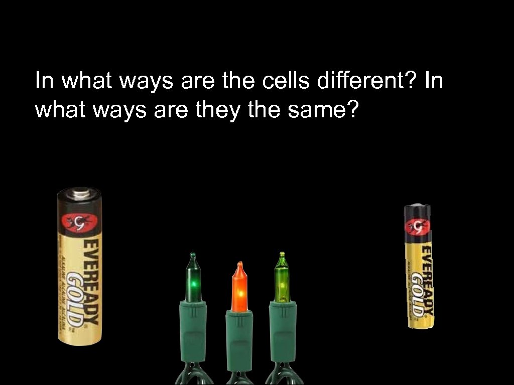In what ways are the cells different? In what ways are they the same?