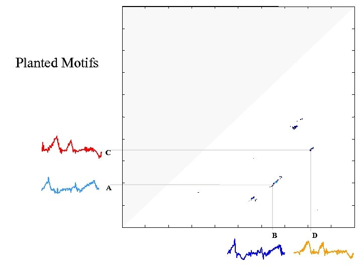 Planted Motifs C A B D 