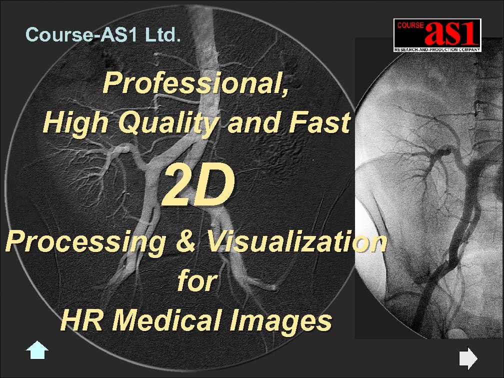 Course-AS 1 Ltd. Professional, High Quality and Fast 2 D Processing & Visualization for