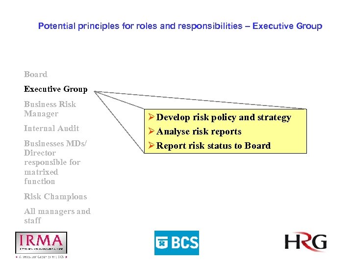 Potential principles for roles and responsibilities – Executive Group Board Executive Group Business Risk