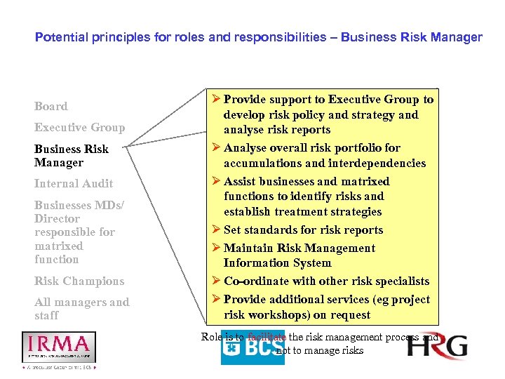 Potential principles for roles and responsibilities – Business Risk Manager Board Executive Group Business