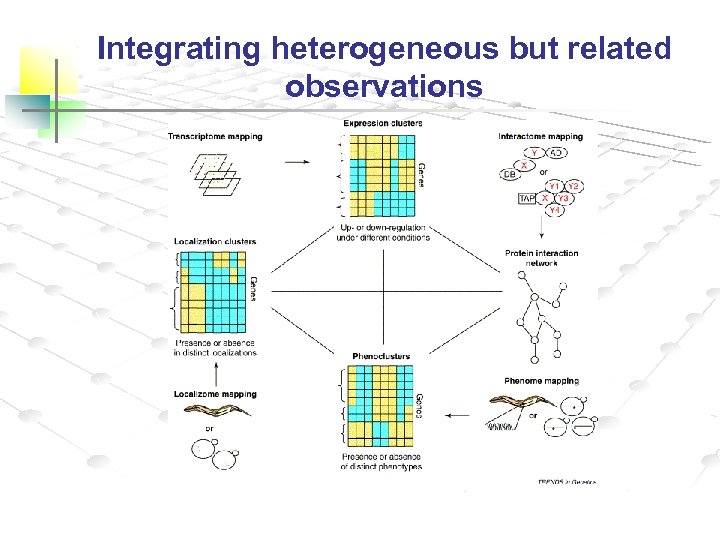 Integrating heterogeneous but related observations 