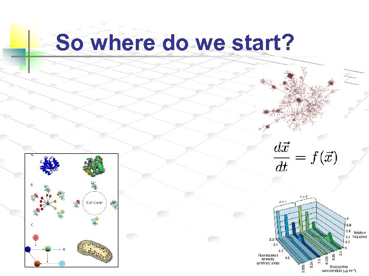 So where do we start? 