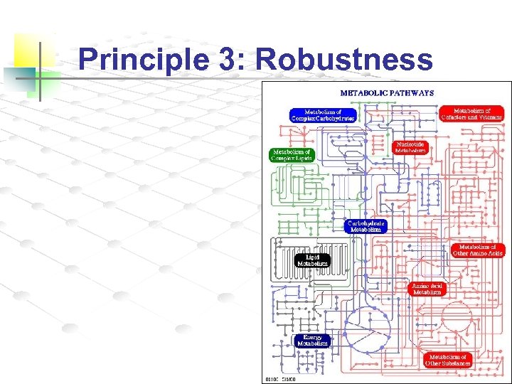 Principle 3: Robustness 
