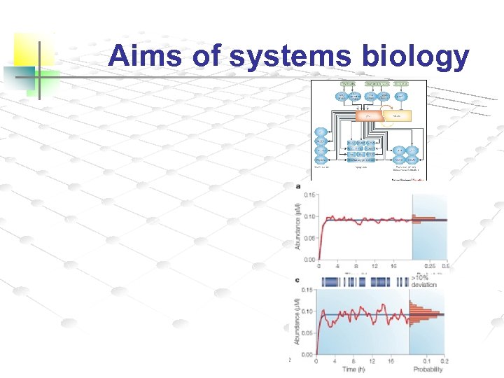 Aims of systems biology 