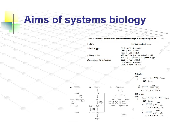 Aims of systems biology 