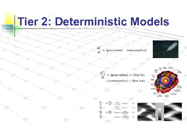 Tier 2: Deterministic Models 