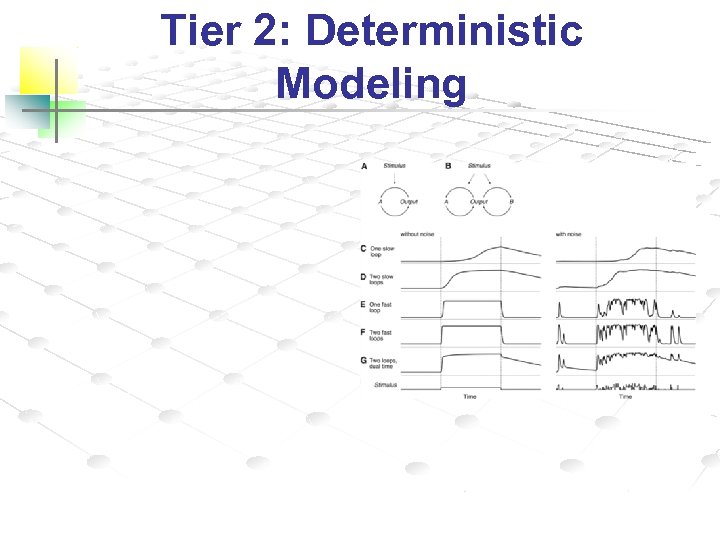 Tier 2: Deterministic Modeling 