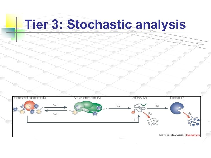 Tier 3: Stochastic analysis 
