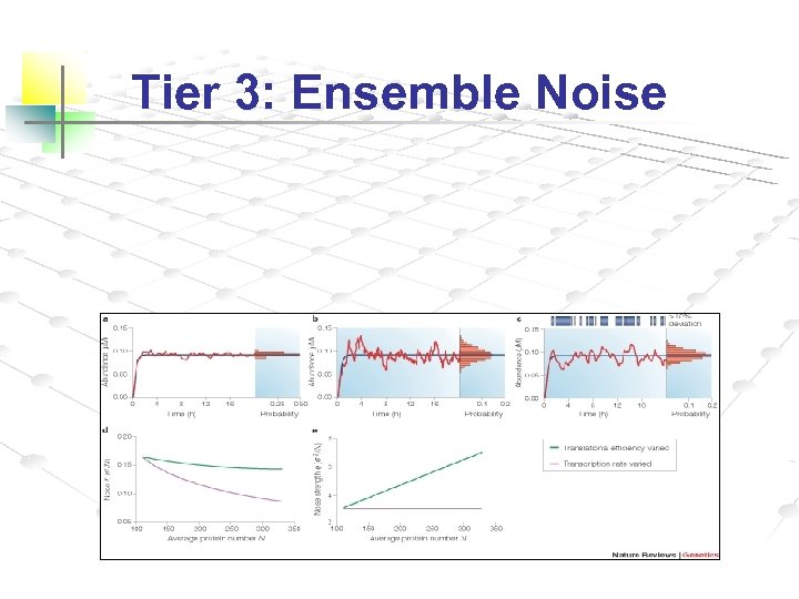 Tier 3: Ensemble Noise 
