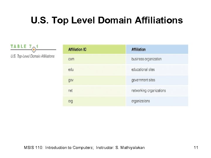 U. S. Top Level Domain Affiliations MSIS 110: Introduction to Computers; Instructor: S. Mathiyalakan