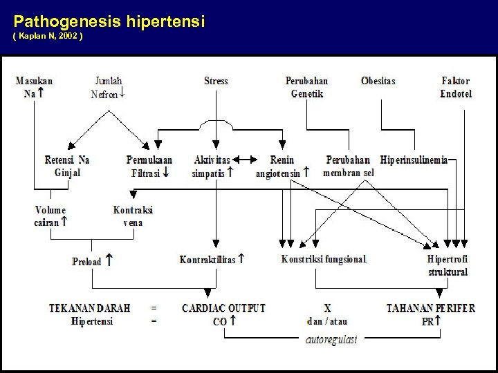 Pathogenesis hipertensi ( Kaplan N, 2002 ) 