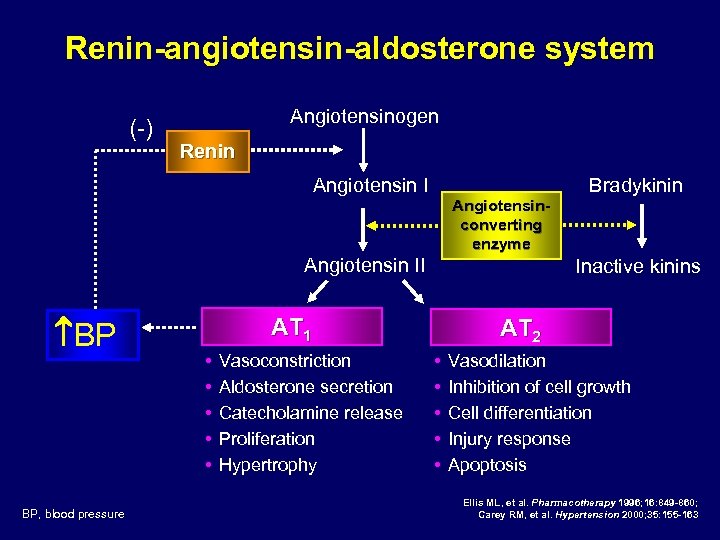 Renin-angiotensin-aldosterone system (-) Angiotensinogen Renin Bradykinin Angiotensin I Angiotensinconverting enzyme Angiotensin II BP BP,