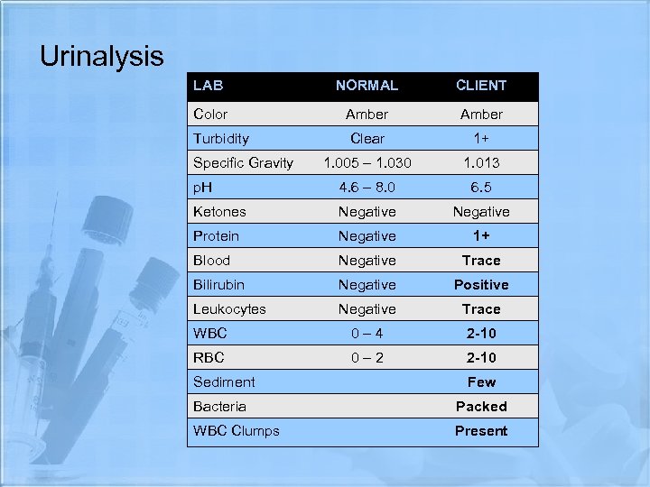 Urinalysis LAB NORMAL CLIENT Color Amber Turbidity Clear 1+ 1. 005 – 1. 030