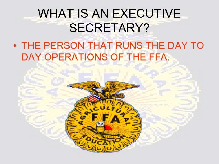 WHAT IS AN EXECUTIVE SECRETARY? • THE PERSON THAT RUNS THE DAY TO DAY