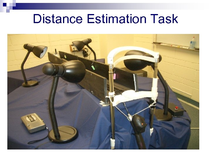 Distance Estimation Task 