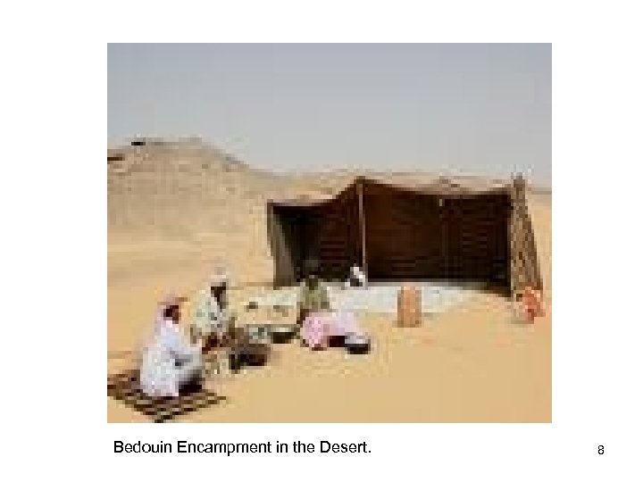 Bedouin Encampment in the Desert. 8 