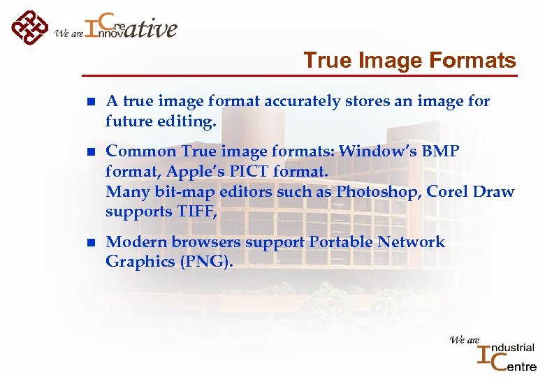 True Image Formats n A true image format accurately stores an image for future