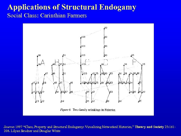 Applications of Structural Endogamy Social Class: Carinthian Farmers Source: 1997 “Class, Property and Structural