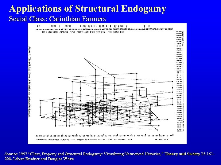 Applications of Structural Endogamy Social Class: Carinthian Farmers Source: 1997 “Class, Property and Structural