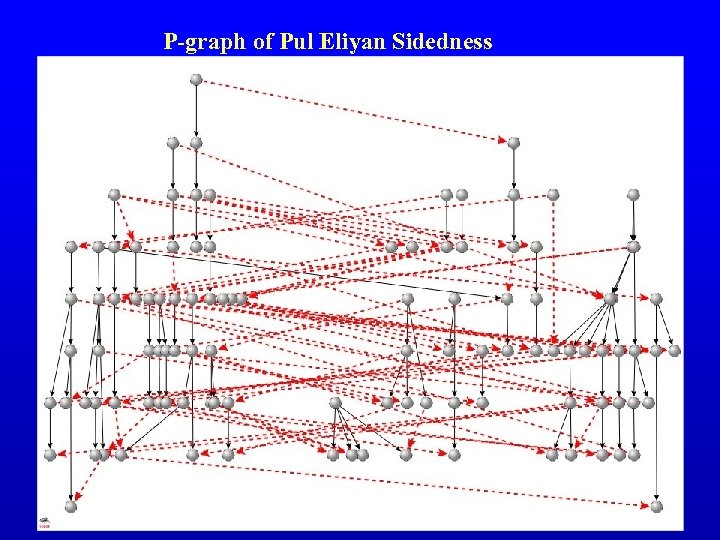 P-graph of Pul Eliyan Sidedness 