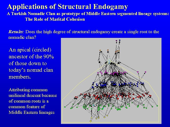 Applications of Structural Endogamy A Turkish Nomadic Clan as prototype of Middle Eastern segmented