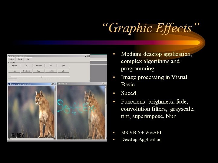 “Graphic Effects” • Medium desktop application, complex algorithms and programming • Image processing in