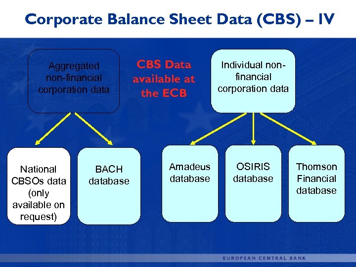 Corporate Balance Sheet Data (CBS) – IV Aggregated non-financial corporation data National CBSOs data