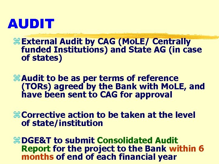 AUDIT z External Audit by CAG (Mo. LE/ Centrally funded Institutions) and State AG