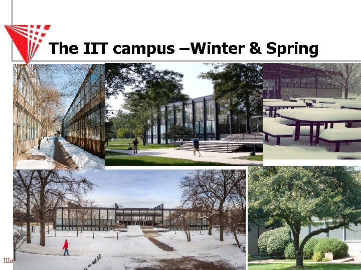 The IIT campus –Winter & Spring Illinois Institute of Technology 