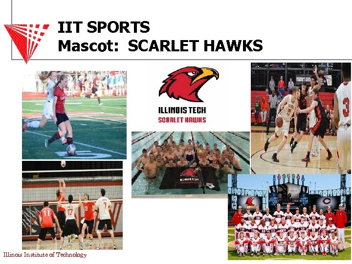 IIT SPORTS Mascot: SCARLET HAWKS Illinois Institute of Technology 