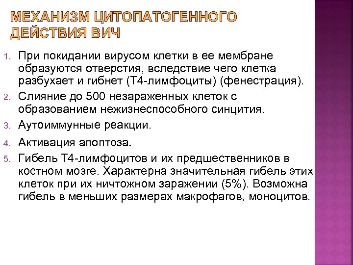 МЕХАНИЗМ ЦИТОПАТОГЕННОГО ДЕЙСТВИЯ ВИЧ 1. 2. 3. 4. 5. При покидании вирусом клетки в