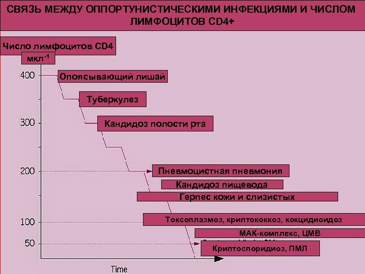 СВЯЗЬ МЕЖДУ ОППОРТУНИСТИЧЕСКИМИ ИНФЕКЦИЯМИ И ЧИСЛОМ ЛИМФОЦИТОВ CD 4+ Число лимфоцитов CD 4 мкл-1