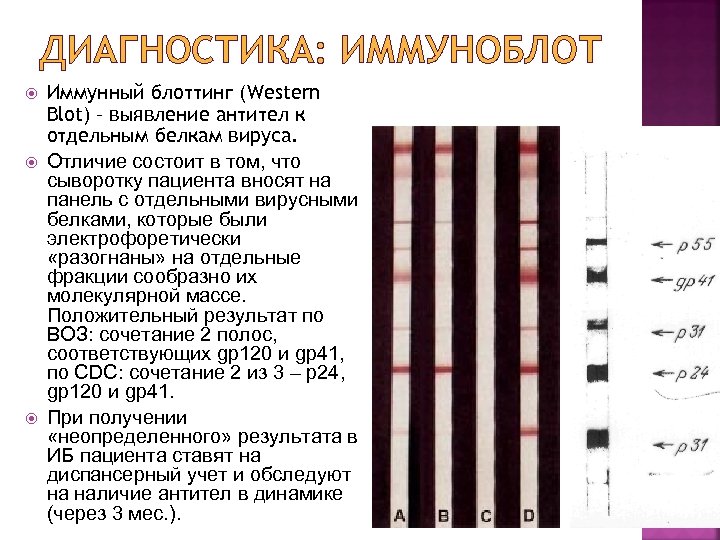 ДИАГНОСТИКА: ИММУНОБЛОТ Иммунный блоттинг (Western Blot) – выявление антител к отдельным белкам вируса. Отличие