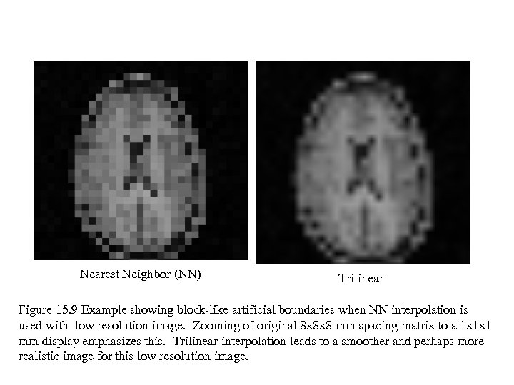 Nearest Neighbor (NN) Trilinear Figure 15. 9 Example showing block-like artificial boundaries when NN