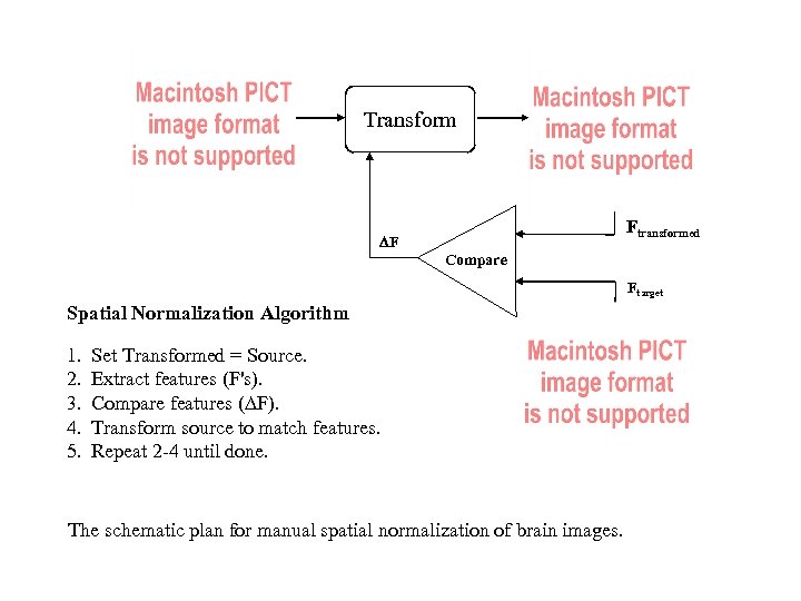 Source Transformed Transform xtransformed F DF Compare Ftarget Spatial Normalization Algorithm 1. 2. 3.