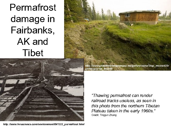 Permafrost damage in Fairbanks, AK and Tibet http: //www. globalwarmingimages. net/gallery/index/disp_media/429/ gallery/perma_frost/0/ “Thawing permafrost