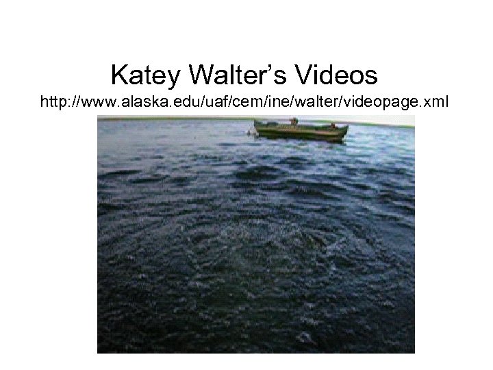 Katey Walter’s Videos http: //www. alaska. edu/uaf/cem/ine/walter/videopage. xml 