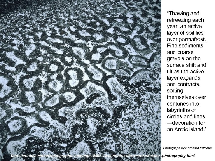 “Thawing and refreezing each year, an active layer of soil lies over permafrost. Fine