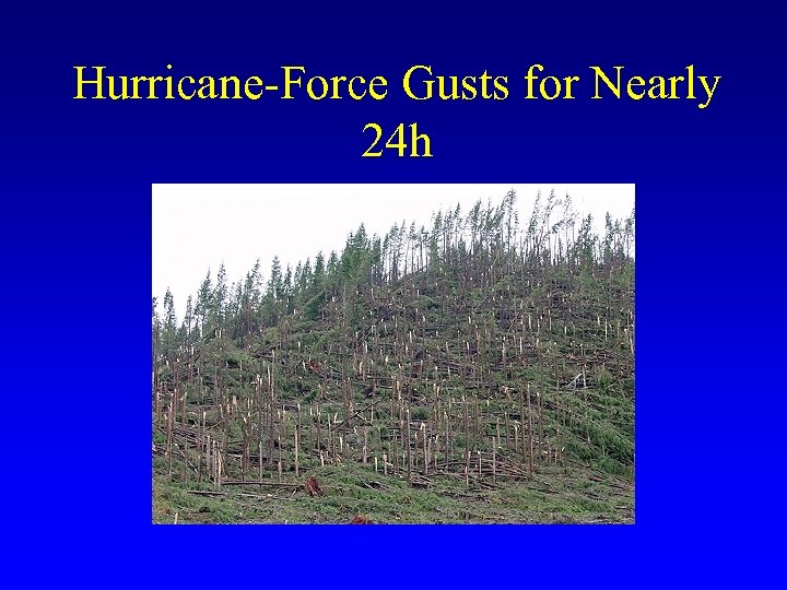 Hurricane-Force Gusts for Nearly 24 h 