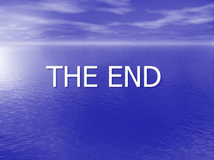 THE END 