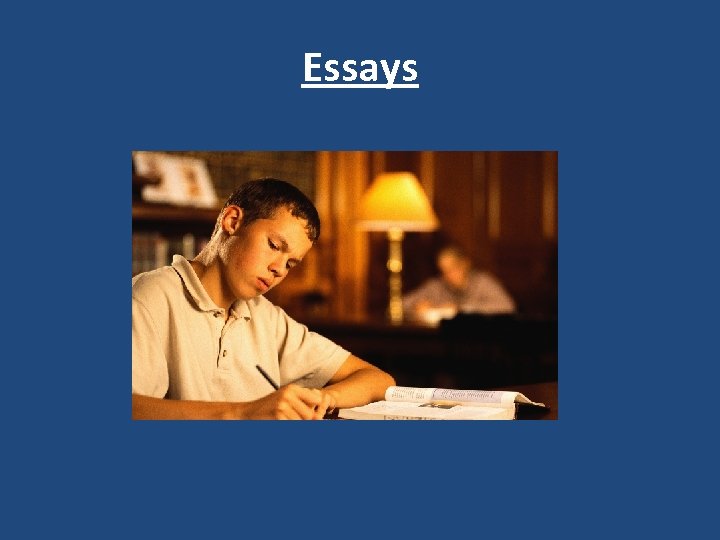 Essays 