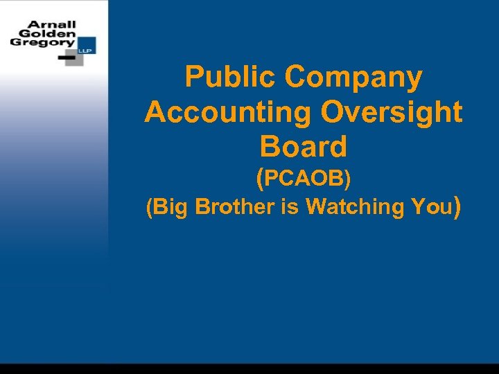 Public Company Accounting Oversight Board (PCAOB) (Big Brother is Watching You) 
